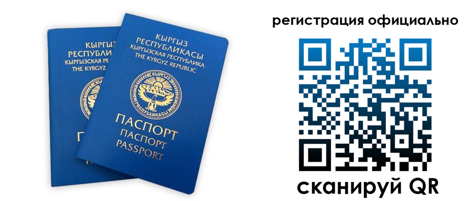 прописка поиск в Кондрово